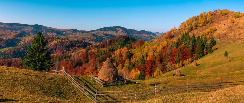 Autumn forest trees in the mountains panorama trees in the mountains Meadow with haystack 