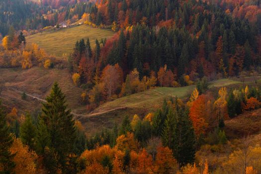 Autumn foliage trees in the mountains Meadow with haystack 
