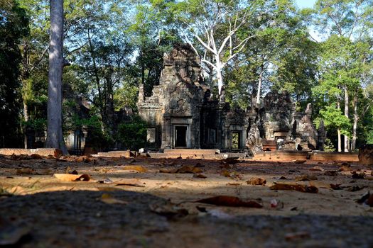 Temple in the Angkor complex, Siem Reap, Cambodia.