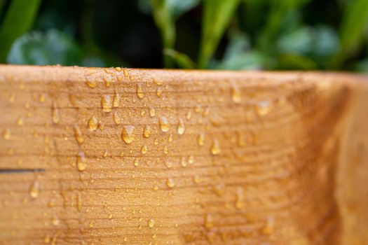 Treated wood, protected against moisture and water. Water drops after rain.