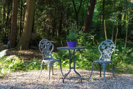 Overview of  beautiful, vintage style wrought iron garden seats and table surrounded by summer flowers plants and trees in hazy sunshine
