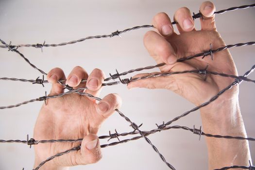 Hands in barbed wire