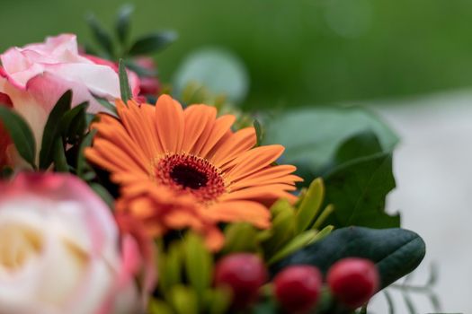 Valentine or Mother’s Day concept: Close up of orange gerbera flower in bouquet