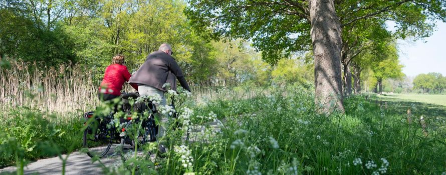 people ride bicycle on track near wild flowers in dutch spring near utrecht