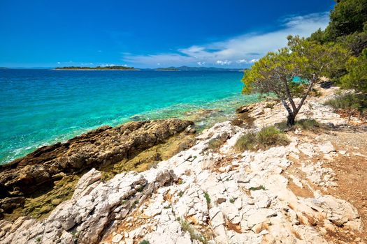 Idyllic turquoise rocky beach landscape view in Zadar riviera