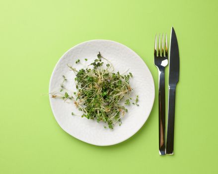 green sprouts of chia, arugula and mustard in a white round plate, top view