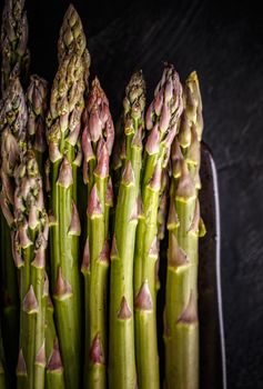 Fresh harvested asparagus