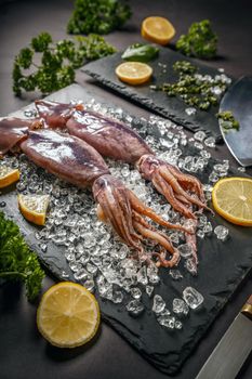 Uncooked fresh cuttlefish 
