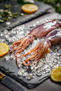Fresh raw squid