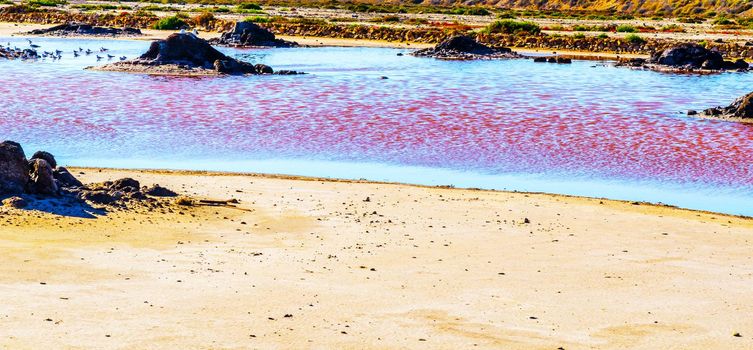 pink lake in spain, unusual phenomenon, mineral influence on water