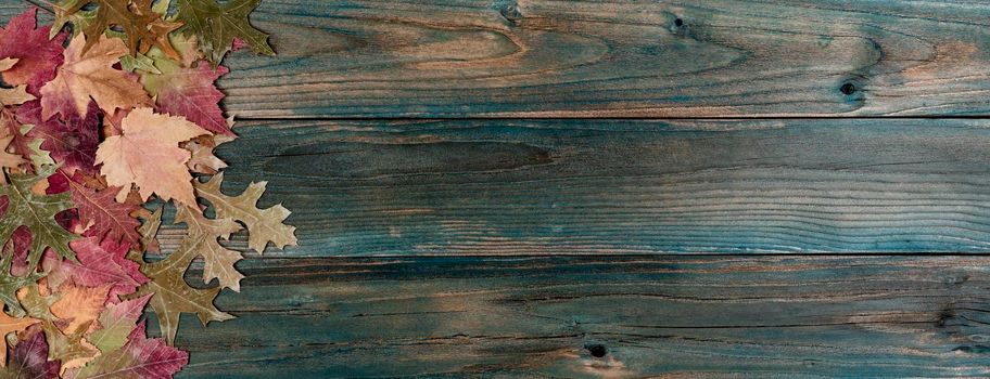 Faded autumn leaves on blue wooden planks for a Thanksgiving holiday background