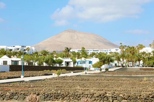 Lanzarote landscape with palm trees, white houses and volcano on the background.