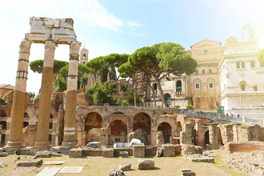 Forum of Caesar and the Temple of Venus Genetrix in Rome, Italy. Architecture and landmark of Antique Rome.