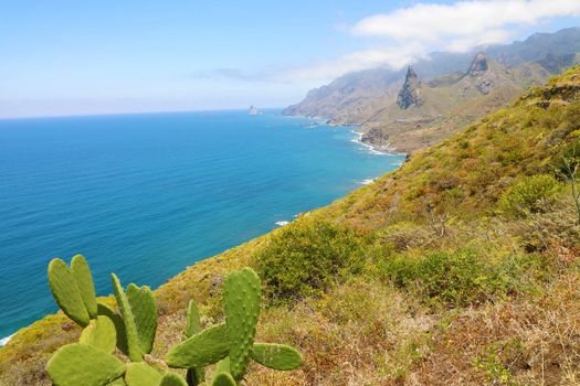 Beautiful Rural Park of Anaga with rock mountains seascape cactus nature vegetations tourism in Tenerife.