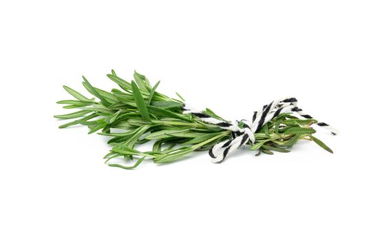fresh sprig of rosemary with green leaves on white background