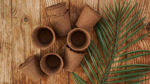 Empty peat pots for seedlings on a wooden background with tropical leaf