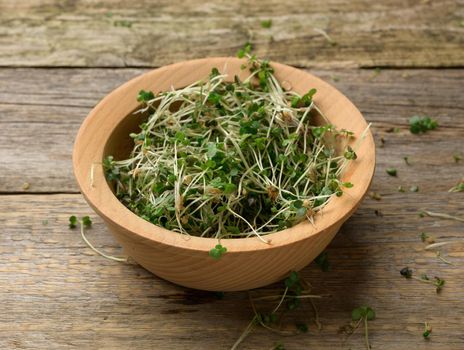 green sprouts of chia, arugula and mustard on a table from gray wooden boards