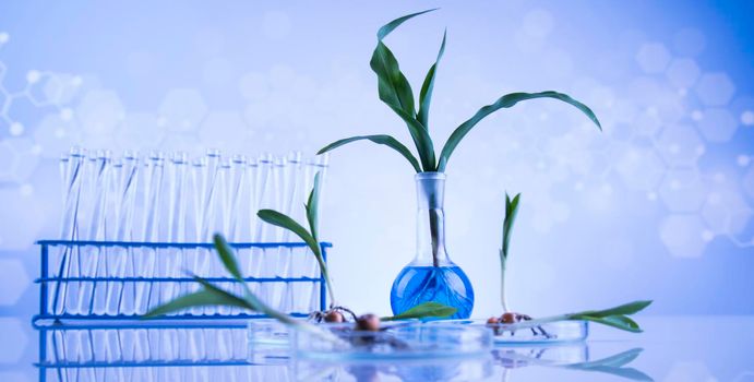 Biotechnology, Chemical laboratory glassware 