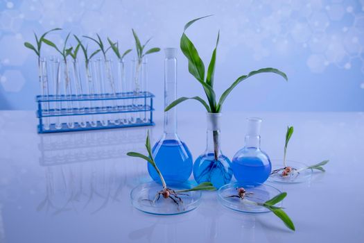 Biotechnology, Chemical laboratory glassware 