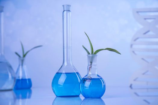 Plant laboratory experimental, Chemical glassware
