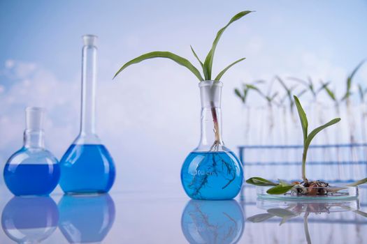 Chemical laboratory glassware, Genetically modified plant 