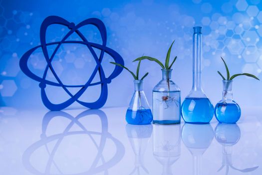 Laboratory glassware, genetically modified plant 