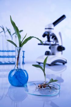 Laboratory glassware, plant laboratory experimental