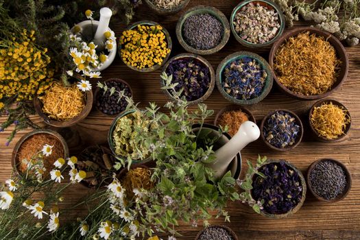 Homeopathy, herbal medicine on wooden table 