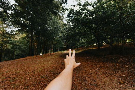 Inspiring wide angle shot of a hand in the middle of the forest during an autumnal day with a lot of fallen leaves and green trees with copy space