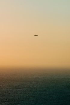 Lonely seagull flying over the horizon with a green ocean below