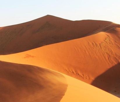 Namib Desert pictures