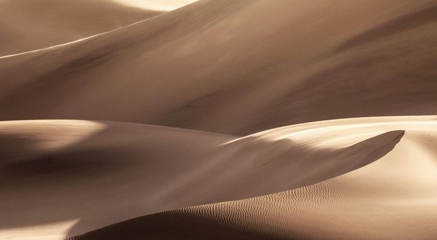 Beautiful of Namib Desert