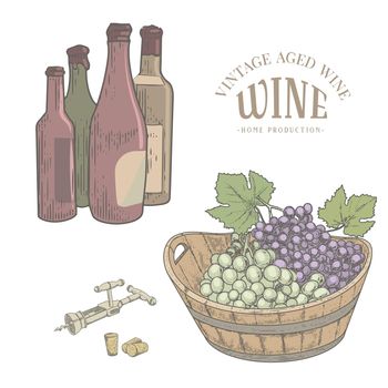 Vintage set of grapes, barrels, bottles