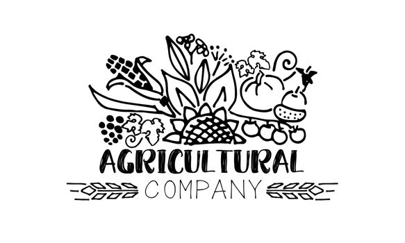 Agricultural company logo in sketch style
