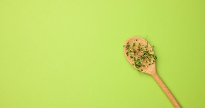 green sprouts of chia, arugula and mustard in a wooden spoon on a green background, top view