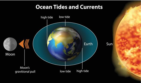 Tidal movements on Earth
