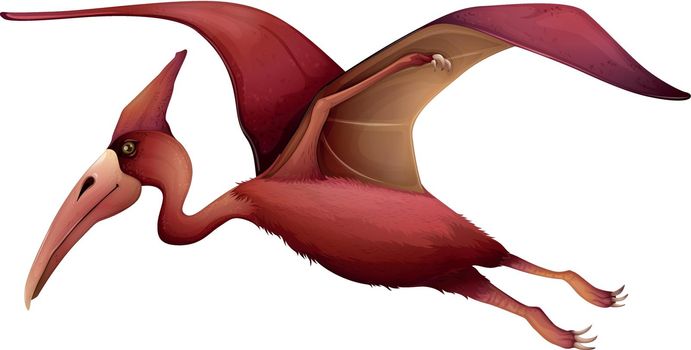 flying pterosaur