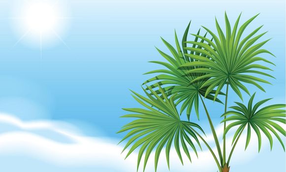 A palm plant and a clear blue sky