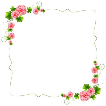 A border with carnation pink flowers
