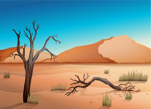 Ecosystem Desert