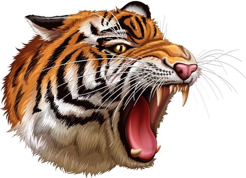 A head of a roaring tiger