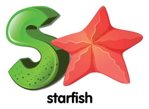 A letter S for starfish