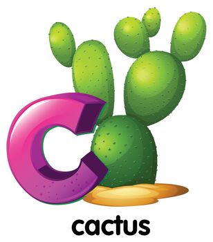 A letter C for cactus