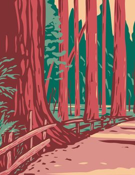 Redwoods in the Avenue of the Giants Surrounded by the Humboldt Redwoods State Park Located in Arcata California WPA Poster Art
