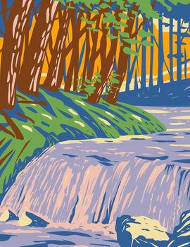 The Boykin Creek Waterfall in Angelina National Forest located in East Texas in San Augustine Angelina Jasper and Nacogdoches County WPA Poster Art
