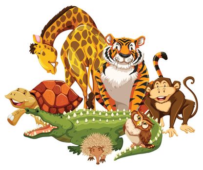 Group of wild animals on a white background