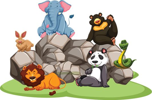 Animals in the zoo sitting on rocks and grass