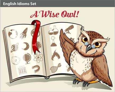 English idiom with a wise owl