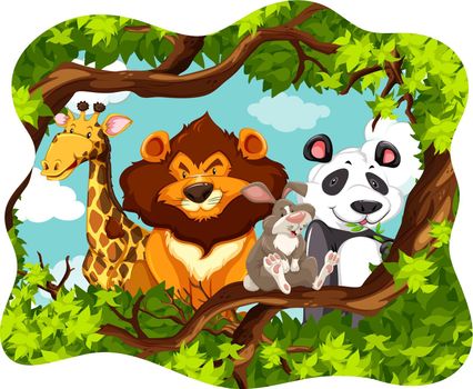 Wild animals in the frame of tree and leaves
