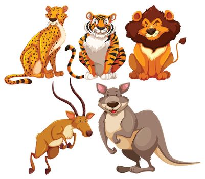 Set of wildlife animals in different position